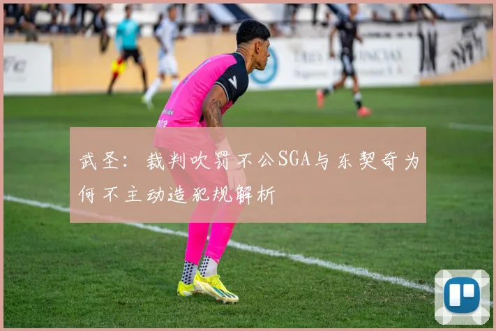 武圣：裁判吹罚不公SGA与东契奇为何不主动造犯规解析